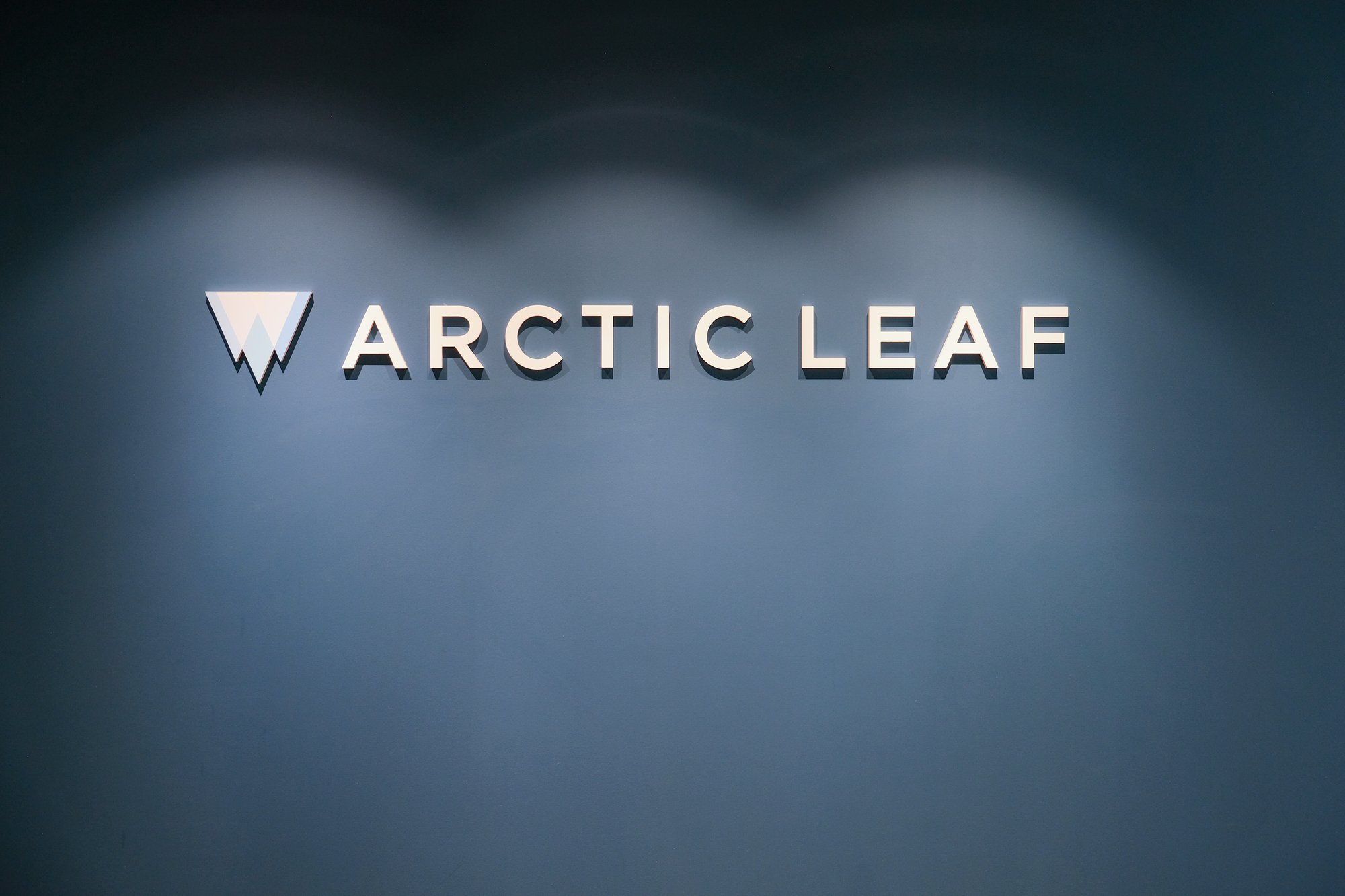 Image of Arctic Leaf on a wall lit by flood flights